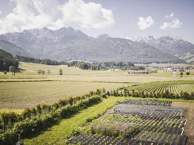 Weite Felder mit landwirtschaftlichen Parzellen vor Bergen und bewölktem Himmel.