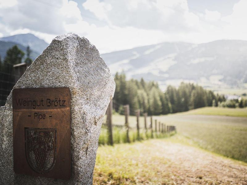 Großer Stein mit Metalltafel an einem Weg, im Hintergrund grüne Wiesen und bewaldete Berge.