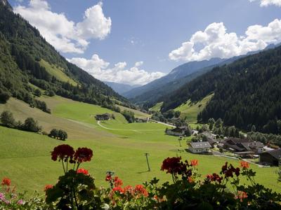 Grünes Tal mit Bergen im Hintergrund und roten Blumen im Vordergrund unter blauem Himmel.