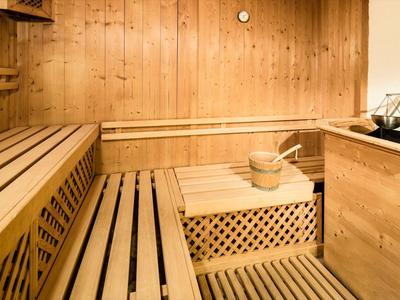 Traditionele Finse sauna met houten banken, emmer en lepel om water over de stenen te gieten.