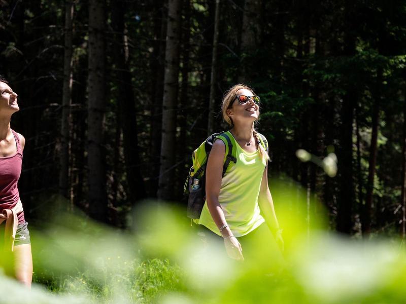 Due giovani donne che fanno escursioni con zaini in una foresta soleggiata.
