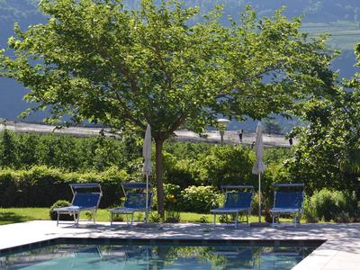 Basen z niebieskimi leżakami i zielonym drzewem w zadbanym ogrodzie.