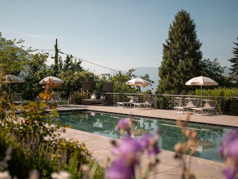 Buitenzwembad met ligstoelen en parasols in een tuin met bomen.