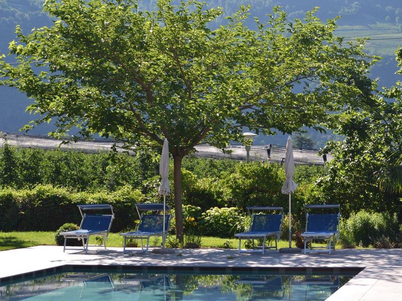 Zwembad met ligstoelen onder bomen voor groen landschap en bergen