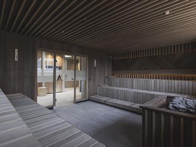 Modern sauna room with wooden walls, benches, and glass door leading outside.