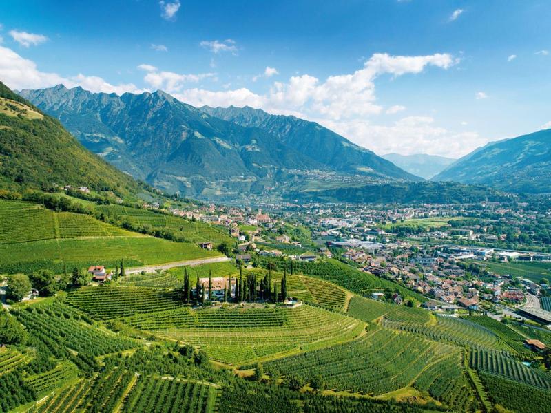 Grüne Weinberge in einem Tal mit Bergen im Hintergrund unter blauem Himmel mit wenigen Wolken.