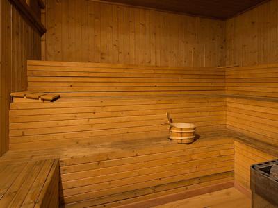 Holzsauna mit mehrstufigen Bänken und Saunaofen in einer warm beleuchteten Umgebung.