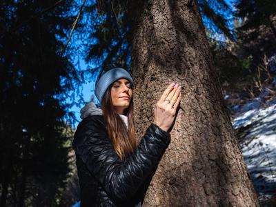 Mujer en bosque invernal toca corteza de árbol, sol y nieve en vacaciones de hotel.