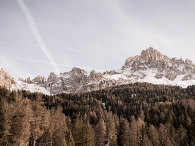 Catena montuosa innevata sopra una foresta fitta sotto un cielo pallido.