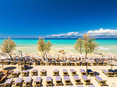 Plage avec rangées de transats sous parasols et arbres au bord de la mer sous un ciel clair.