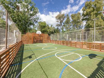 Campo sportivo con prato sintetico e canestro da basket, circondato da recinzioni e alberi