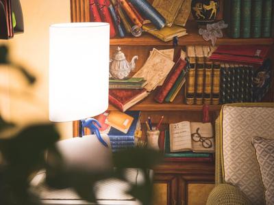 Cozy living room corner with bookshelf, lamp, and patterned armchair.