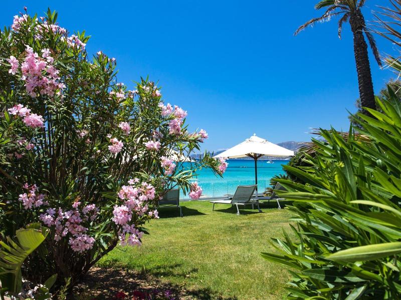 Blooming bushes and green plants frame a view of lounge chairs and umbrellas on the beach.