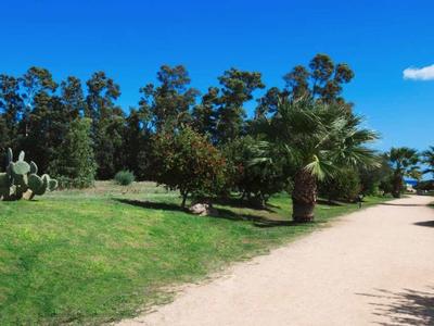Prosta, piaszczysta ścieżka prowadzi przez zielony, zalesiony krajobraz pod niebieskim niebem.
