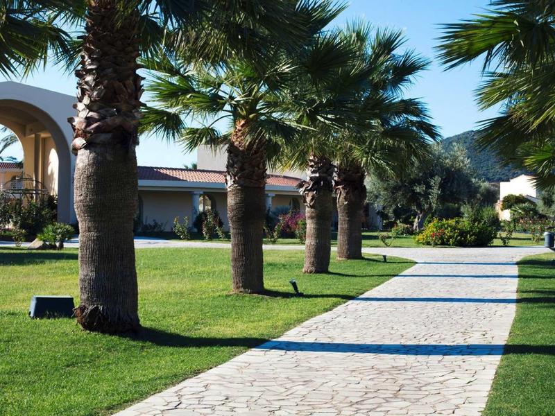 Wybrukowany chodnik z palmami i trawą, budynki w tle w słoneczny dzień.