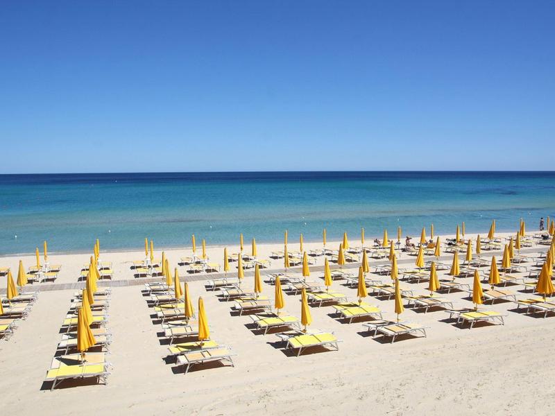 Plaża z rzędami żółtych parasoli i leżaków przy spokojnym, niebieskim morzu