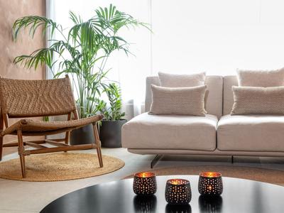 Moderner Sitzbereich mit gemütlichem Sofa, Ledersessel und Pflanzen in hellem Raum.
