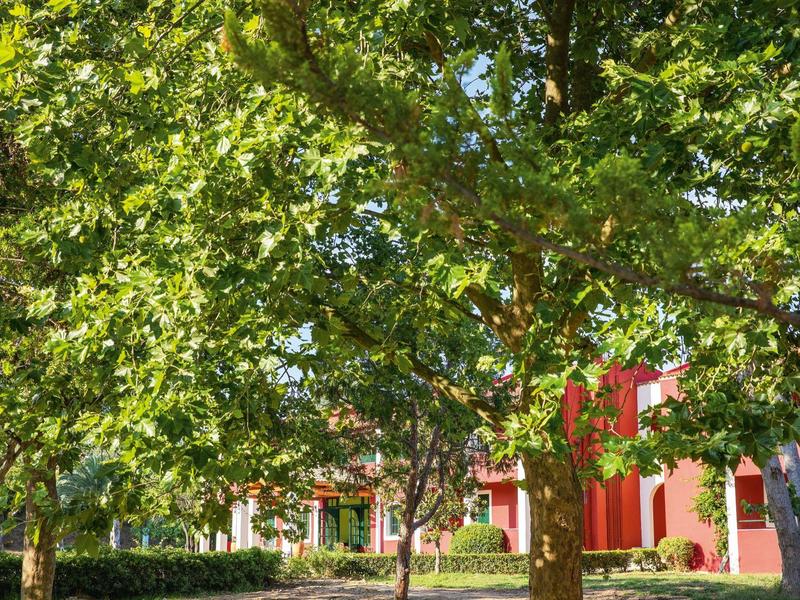Grüner Park mit Bäumen und roten Gebäuden im Hintergrund, sonnig, freundliche Atmosphäre.