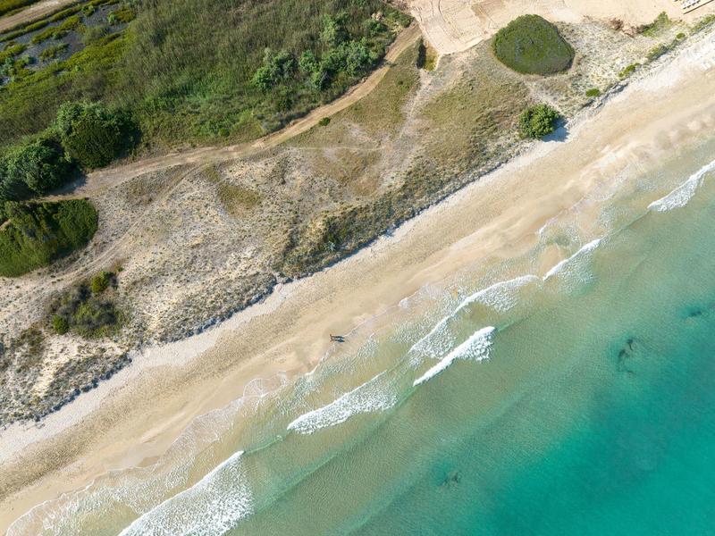 Luftaufnahme eines Sandstrands mit grünem Bewuchs und klarem, türkisblauem Meer.