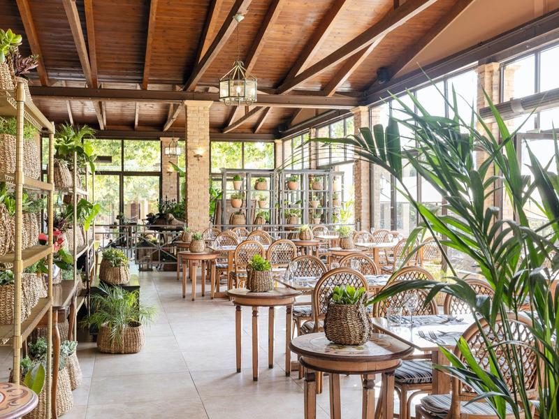 Heller Wintergarten mit Holzbalken, großen Fenstern und vielen grünen Pflanzen in Töpfen.