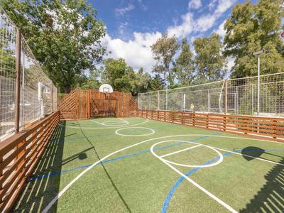 Freiluft-Basketballplatz mit grünem Kunstrasen und weiß-blauen Markierungen, umgeben von Zäunen und Bäumen.