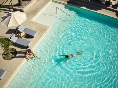 Ein großer Pool mit klarem Wasser, umgeben von Sonnenliegen und einer Palme.