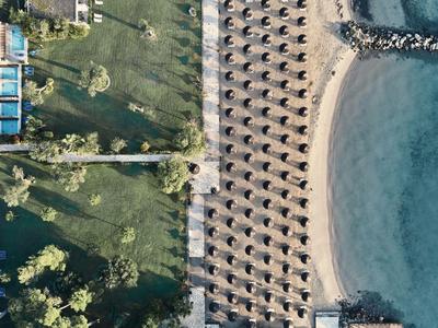 Widok z lotu ptaka na plażę z parasolami i przyległym ogrodem hotelowym