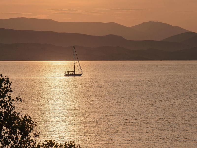 Segelboot auf ruhigem Wasser bei Sonnenuntergang mit Bergen im Hintergrund und Baum im Vordergrund.