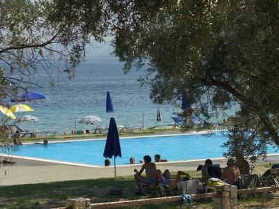 Pool area with umbrellas and people near the sea, framed by trees.