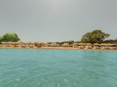 Klares blaues Meer mit felsiger Küste und vereinzelten Bäumen im Hintergrund unter hellem Himmel.