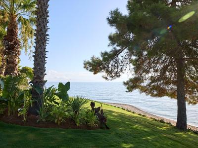 Giardino verde con palme che si affaccia sul mare in una giornata di sole.