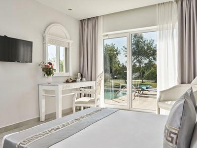 Camera d'hotel luminosa con letto, TV, scrivania e vista su terrazza e giardino.