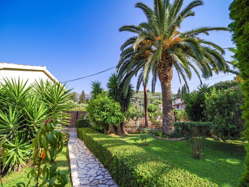 Gepflasterter Weg führt durch grünen Garten mit Palmen, Büschen und einem weißen Haus im Hintergrund.