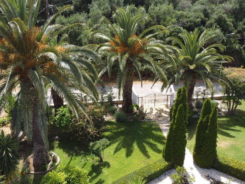 Grüne Gartenanlage mit Palmen, Zypressen und verschwommenen Menschen im Hintergrund.