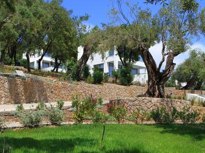 Grüne Wiese mit Olivenbäumen vor einer Steinmauer und weißen Häusern an sonnigem Tag.
