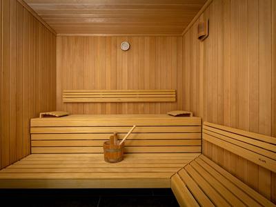 Holzsauna mit mehrstufigen Sitzbänken und Holzeimer im Innenraum.