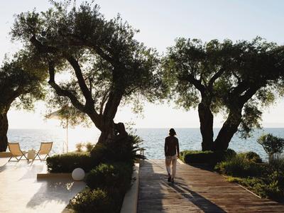 Ein Pfad führt zwischen Olivenbäumen zum Meer mit Sonnenlicht und Liegestühlen am Pool.