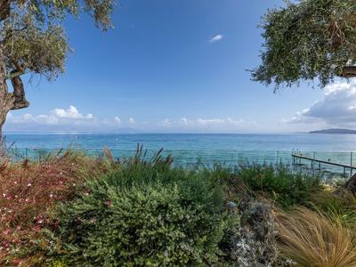 Blick auf das Meer mit Bäumen und Sträuchern im Vordergrund unter blauem Himmel.