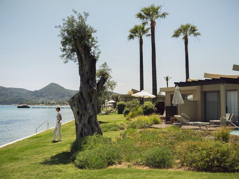 Küstenlandschaft mit altem Baum, Palmen, Gebäuden und sanftem Gras am Wasserufer bei klarem Himmel.
