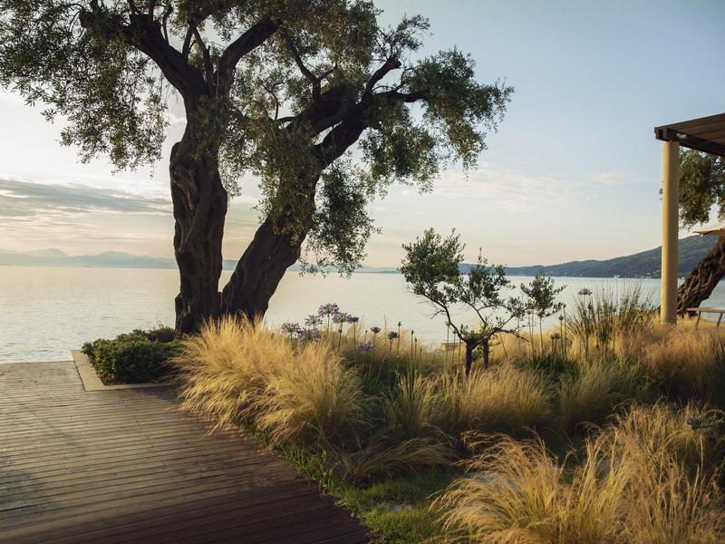 Großer Baum am Seeufer mit Holzsteg, hohem Gras und verziertem Bereich bei Sonnenuntergang.