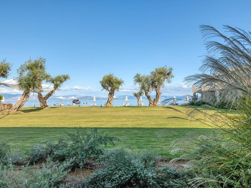 Grüner Garten mit niedrigen Sträuchern, Palmen und blauem Himmel am Meer im Hintergrund.