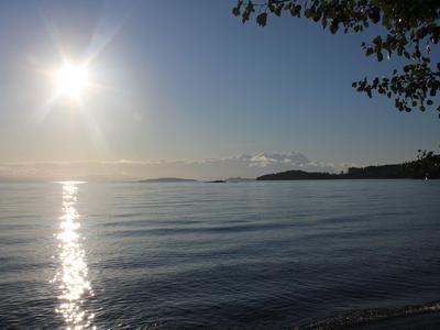Sonnenuntergang über ruhigem Meer, mit klarer Reflexion und teilweiser Baumumrahmung am Rand.