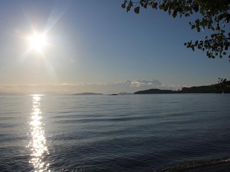 Sonnenuntergang über ruhigem Meer, mit klarer Reflexion und teilweiser Baumumrahmung am Rand.