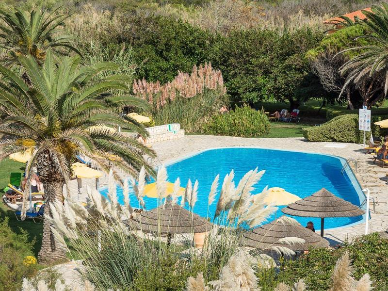 Relaxing outdoor pool surrounded by palm trees and sun loungers in a lush garden.