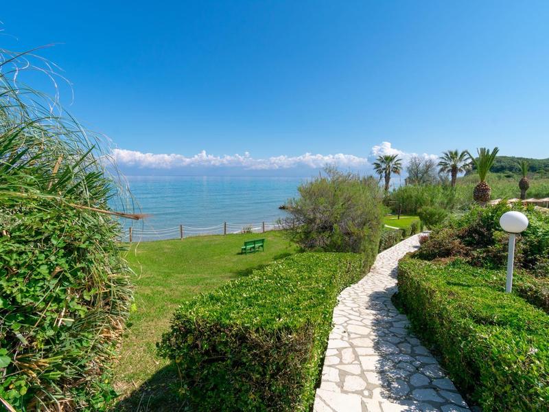 Stone pathway through greenery leading to sea under clear blue sky.