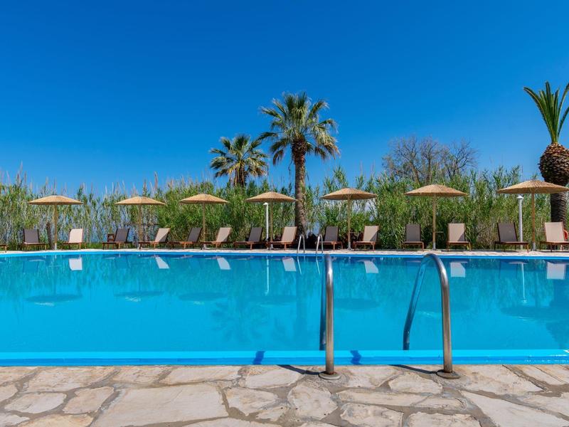 Clear blue swimming pool with lounge chairs and palm trees under a sunny sky.