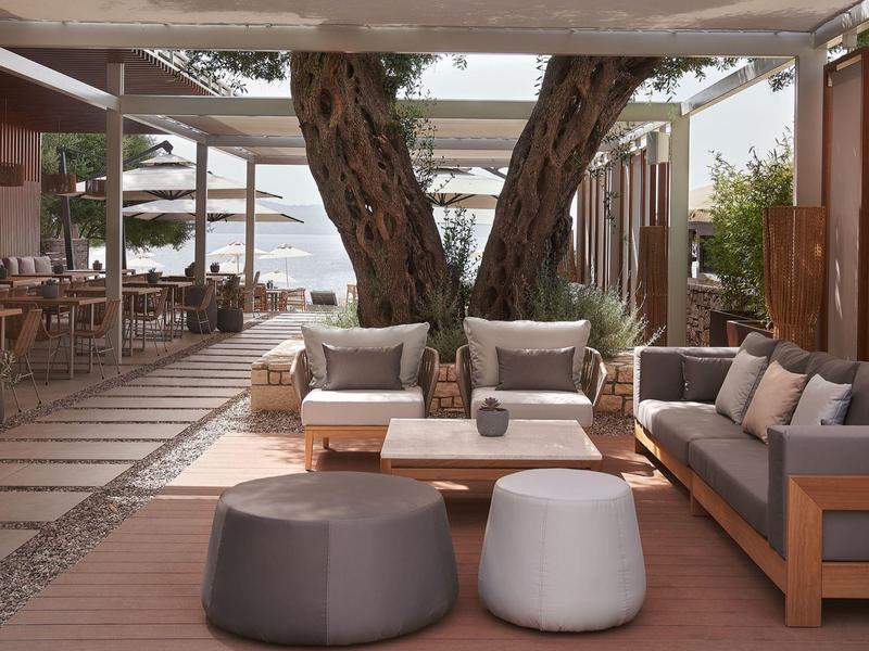 Moderner Außenbereich mit Holzmöbeln, großen Bäumen und gedecktem Sitzbereich bei Tageslicht.