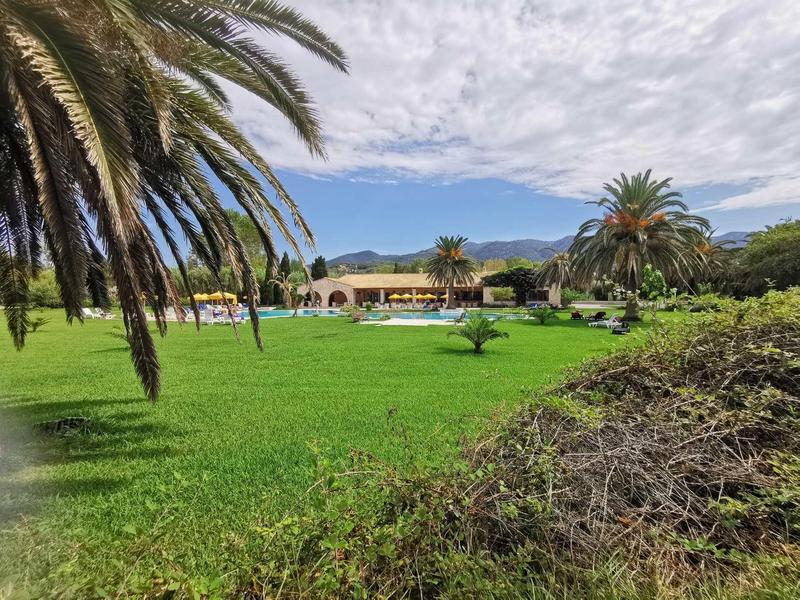Große grüne Wiese mit Palmen und Gebäuden im Hintergrund unter bewölktem Himmel.