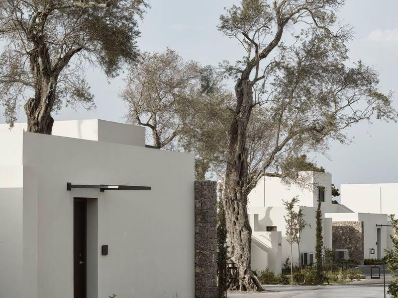 Moderní bílé domky s stromy a dlážděnou cestou pod zataženou oblohou.