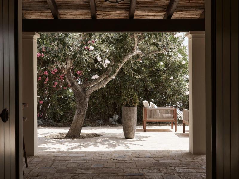 Pohled na venkovní dvůr se stromem, vázou a lavičkou z otevřených dveří.